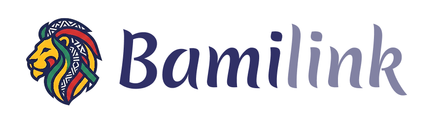 Bamilink Logo